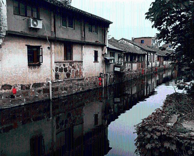 救援鹦鹉